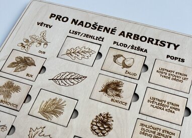 Stromy: Pro nadšené arboristy