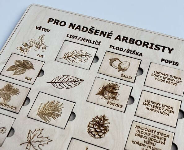 Stromy: Pro nadšené arboristy