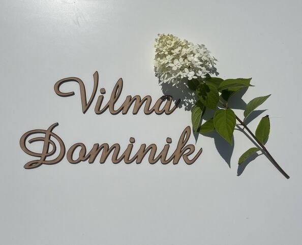 Dřevěné nápisy a jmenovky